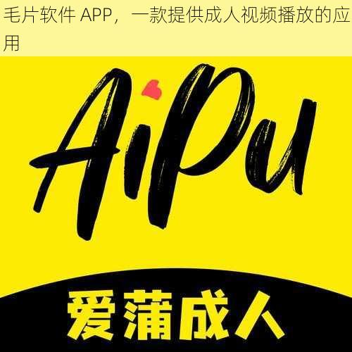 毛片软件 APP,一款提供成人视频播放的应用
