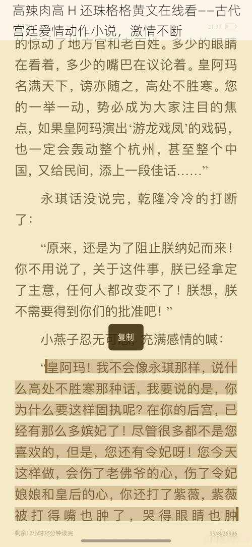 高辣肉高 H 还珠格格黄文在线看——古代宫廷爱情动作小说,激情不断