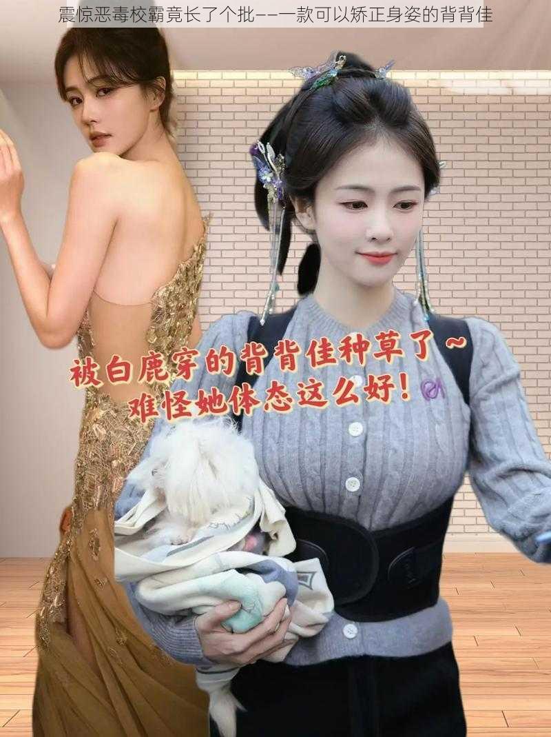 震惊恶毒校霸竟长了个批——一款可以矫正身姿的背背佳