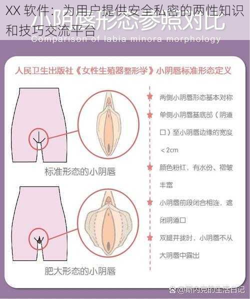 XX 软件:为用户提供安全私密的两性知识和技巧交流平台