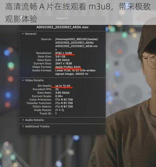 高清流畅 A 片在线观看 m3u8,带来极致观影体验