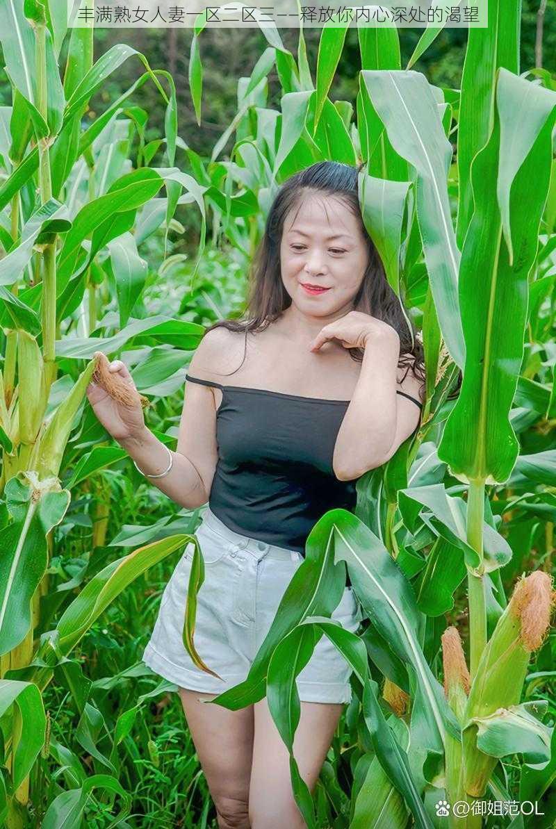丰满熟女人妻一区二区三——释放你内心深处的渴望