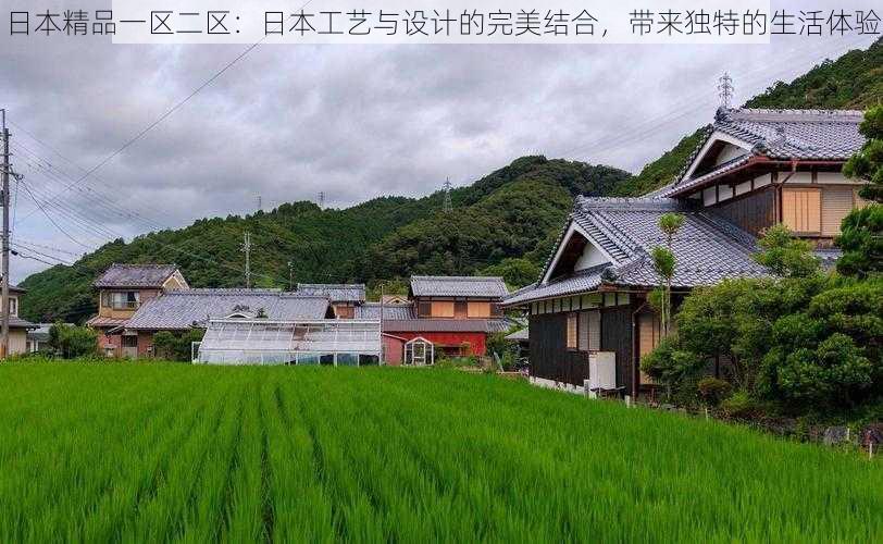 日本精品一区二区:日本工艺与设计的完美结合,带来独特的生活体验
