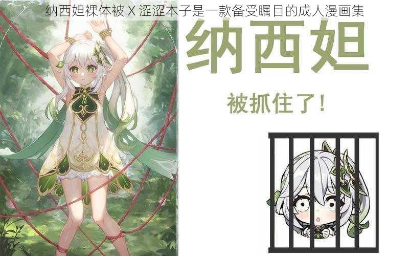 纳西妲裸体被 X 涩涩本子是一款备受瞩目的成人漫画集