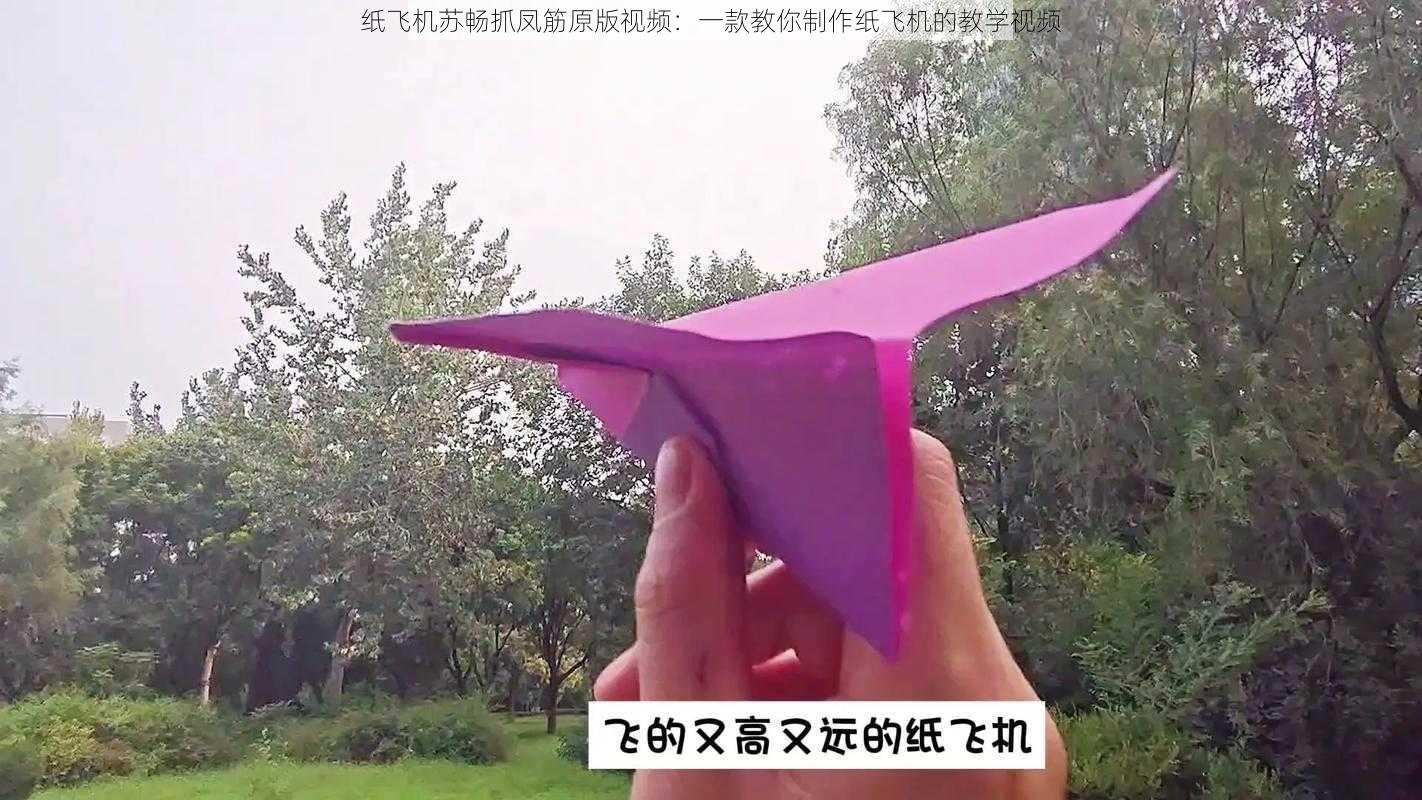 纸飞机苏畅抓凤筋原版视频:一款教你制作纸飞机的教学视频