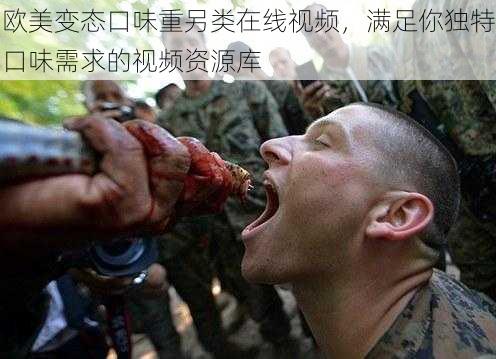 欧美变态口味重另类在线视频,满足你独特口味需求的视频资源库
