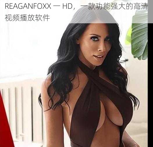 REAGANFOXX 一 HD,一款功能强大的高清视频播放软件