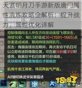 天涯明月刀手游新版唐门属性洗炼攻略全解析:提升战力,属性优化详解