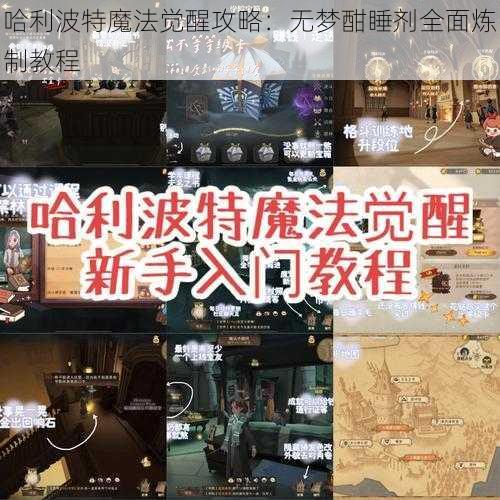 哈利波特魔法觉醒攻略:无梦酣睡剂全面炼制教程