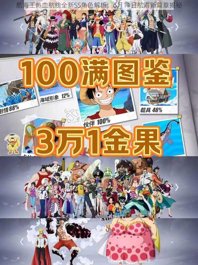 航海王热血航线全新SS角色解析:6月11日航海新篇章揭秘