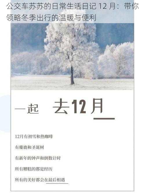 公交车苏苏的日常生活日记 12 月:带你领略冬季出行的温暖与便利