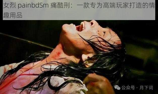女烈 painbdSm 痛酷刑:一款专为高端玩家打造的情趣用品