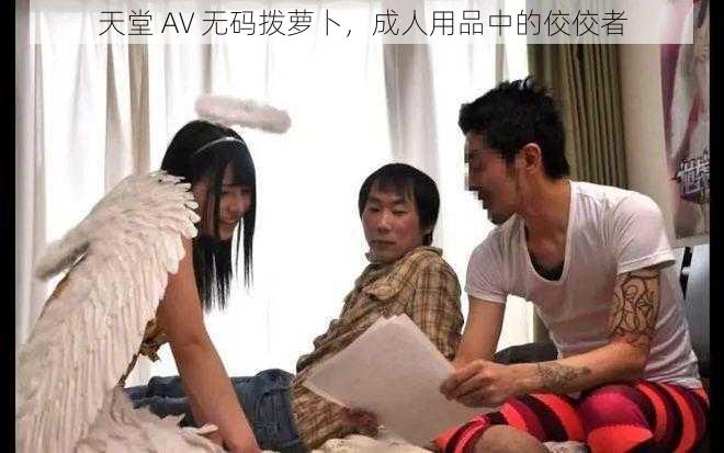 天堂 AV 无码拨萝卜,成人用品中的佼佼者