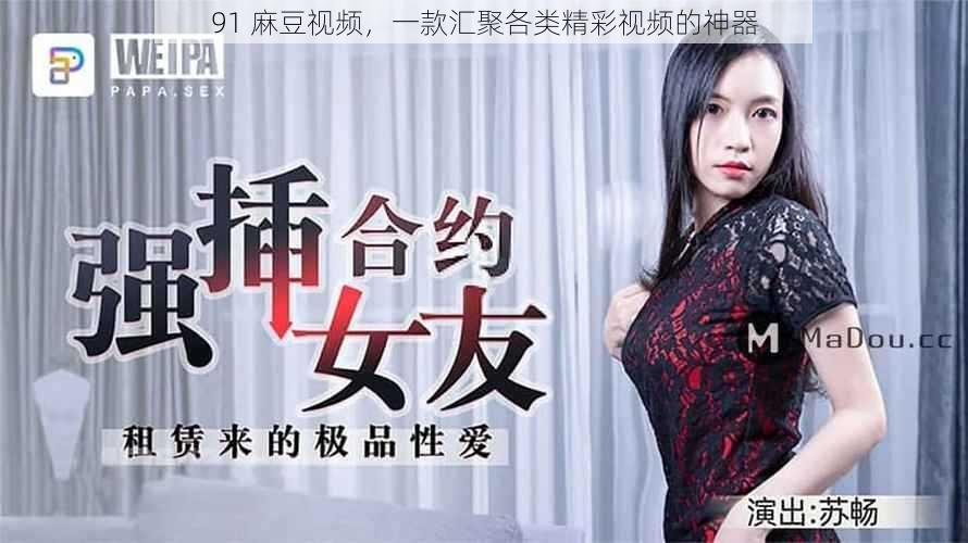 91 麻豆视频,一款汇聚各类精彩视频的神器