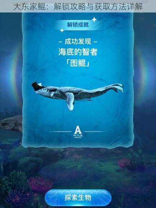 大东家鲲:解锁攻略与获取方法详解