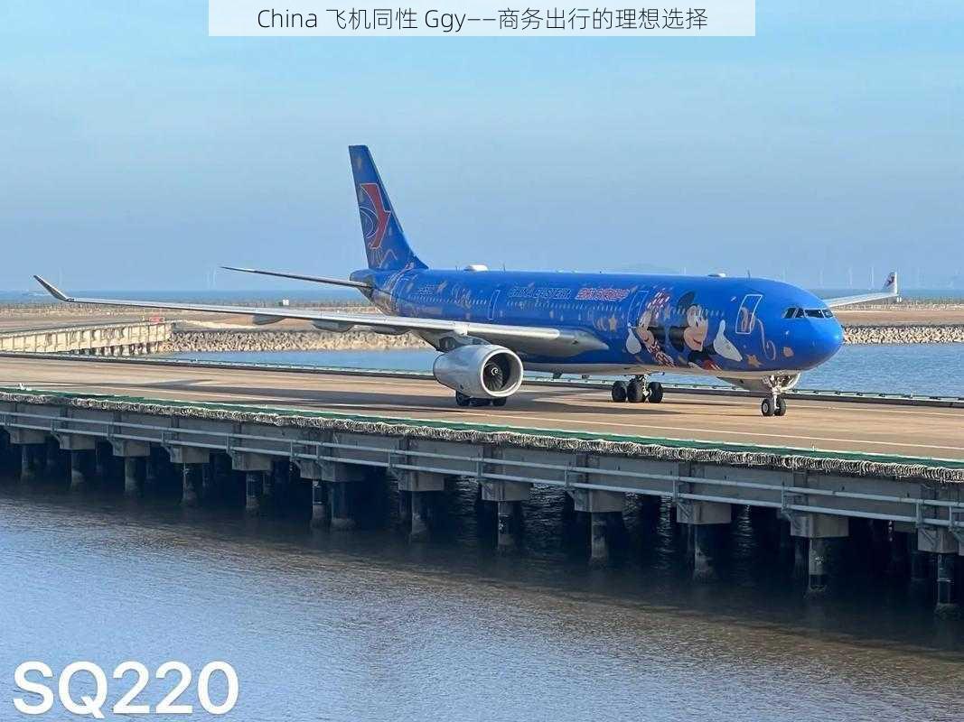 China 飞机同性 Ggy——商务出行的理想选择
