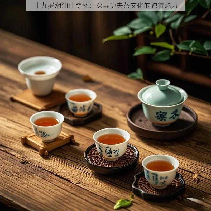 十九岁潮汕仙踪林:探寻功夫茶文化的独特魅力