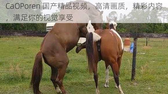 CaOPoren 国产精品视频,高清画质,精彩内容,满足你的视觉享受