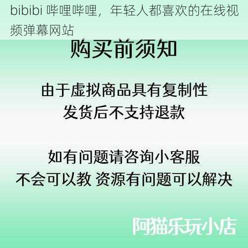 bibibi 哔哩哔哩,年轻人都喜欢的在线视频弹幕网站