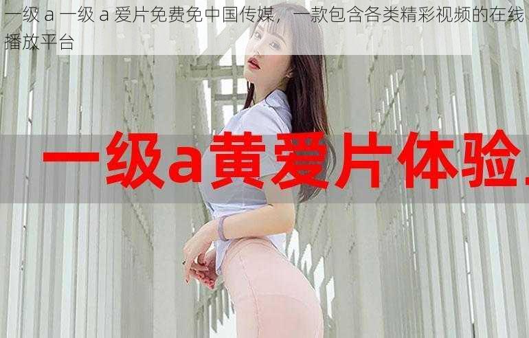 一级 a 一级 a 爱片免费免中国传媒,一款包含各类精彩视频的在线播放平台