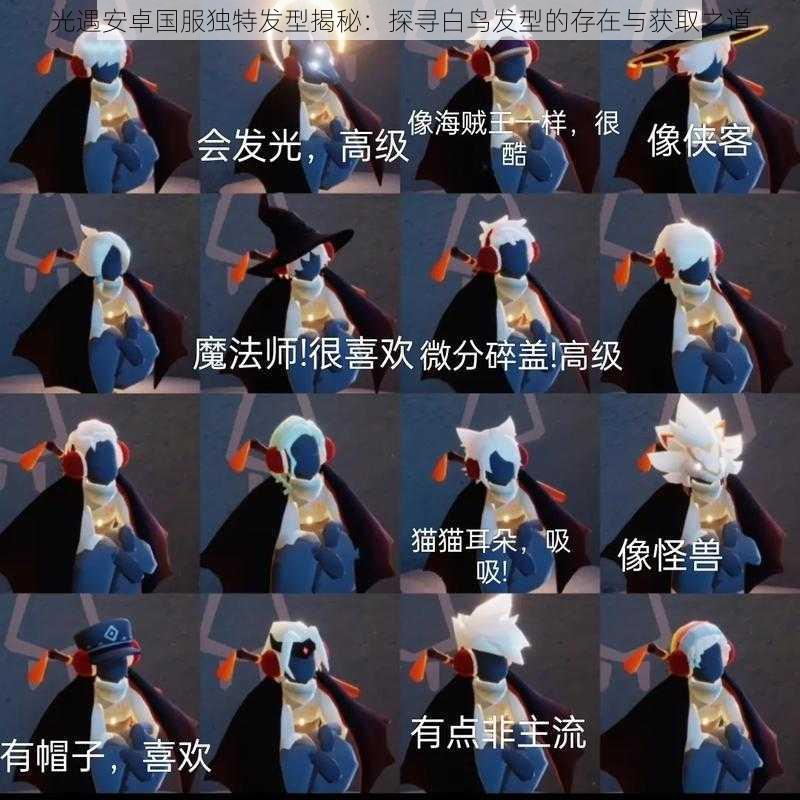 光遇安卓国服独特发型揭秘:探寻白鸟发型的存在与获取之道