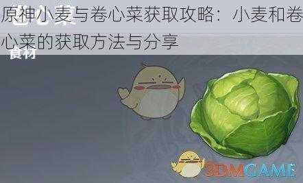 原神小麦与卷心菜获取攻略:小麦和卷心菜的获取方法与分享