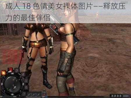 成人 18 色情美女裸体图片——释放压力的最佳伴侣
