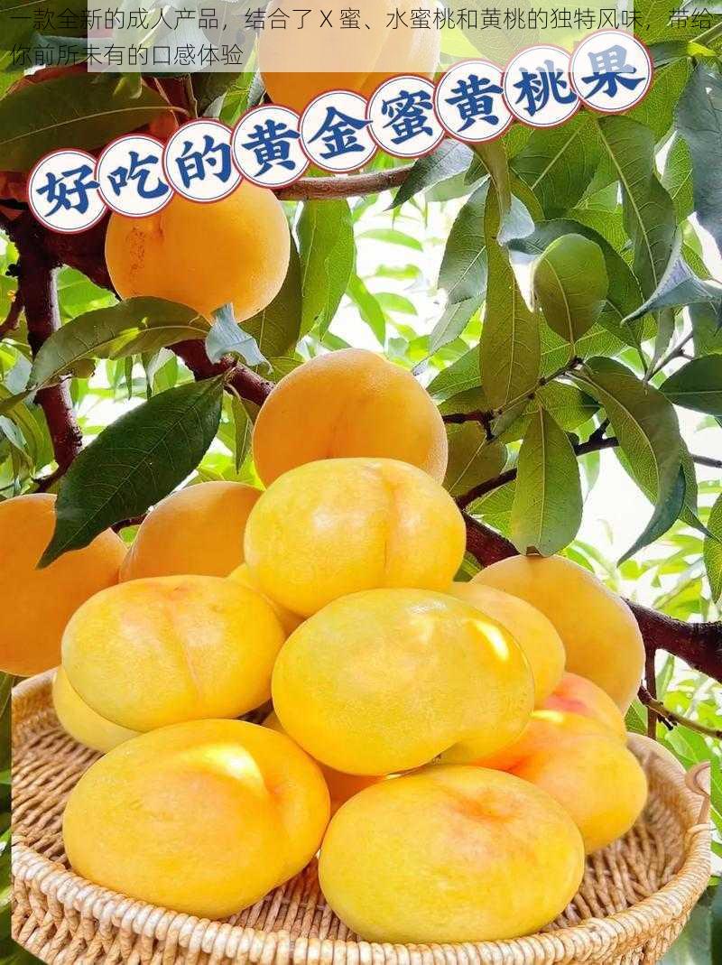 一款全新的成人产品,结合了 X 蜜、水蜜桃和黄桃的独特风味,带给你前所未有的口感体验