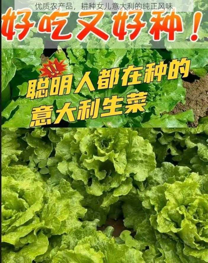 优质农产品,耕种女儿意大利的纯正风味