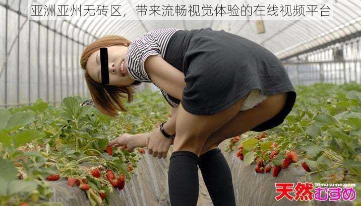 亚洲亚州无砖区,带来流畅视觉体验的在线视频平台