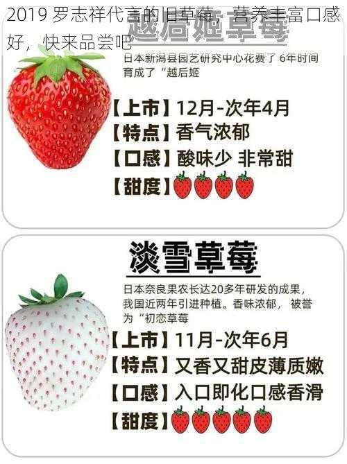 2019 罗志祥代言的旧草莓,营养丰富口感好,快来品尝吧