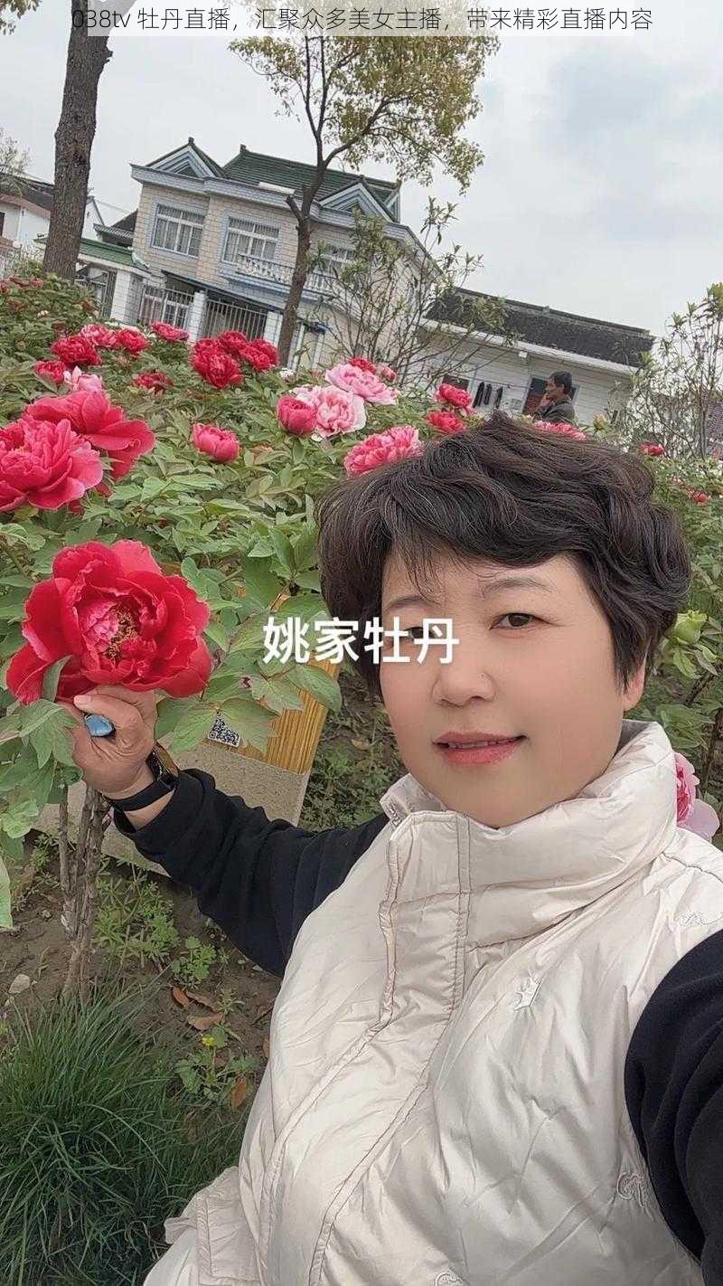 038tv 牡丹直播,汇聚众多美女主播,带来精彩直播内容