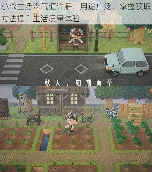 小森生活森气值详解:用途广泛,掌握获取方法提升生活质量体验
