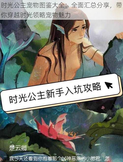 时光公主宠物图鉴大全:全面汇总分享,带你穿越时光领略宠物魅力