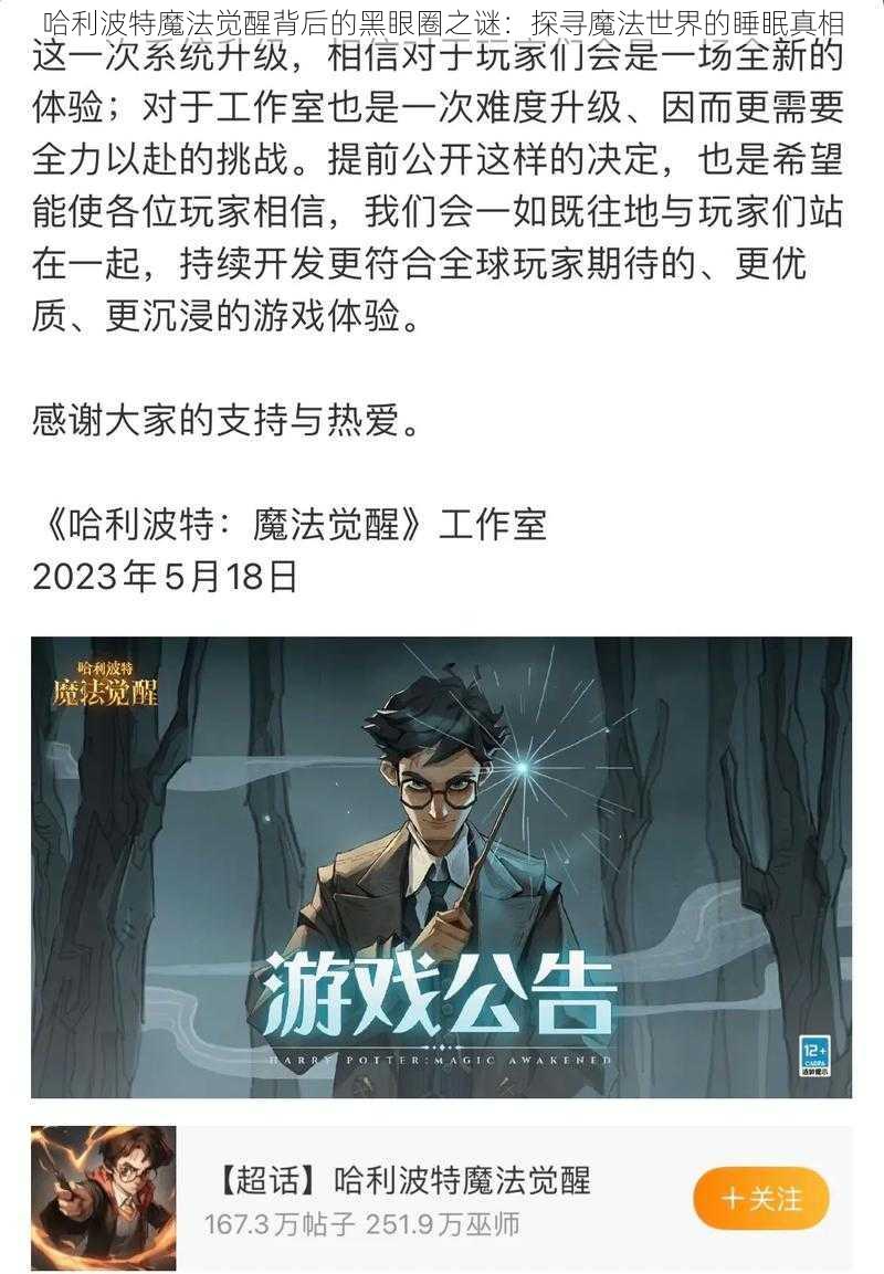 哈利波特魔法觉醒背后的黑眼圈之谜:探寻魔法世界的睡眠真相