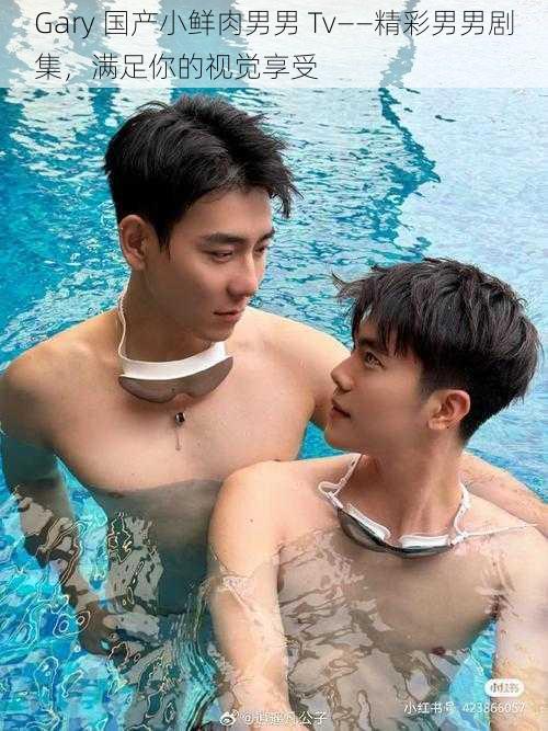 Gary 国产小鲜肉男男 Tv——精彩男男剧集,满足你的视觉享受