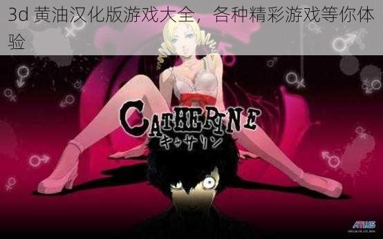 3d 黄油汉化版游戏大全,各种精彩游戏等你体验