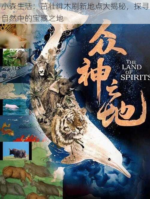 小森生活:茁壮绯木刷新地点大揭秘,探寻自然中的宝藏之地