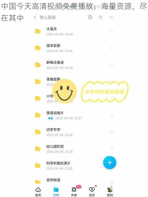 中国今天高清视频免费播放,海量资源,尽在其中