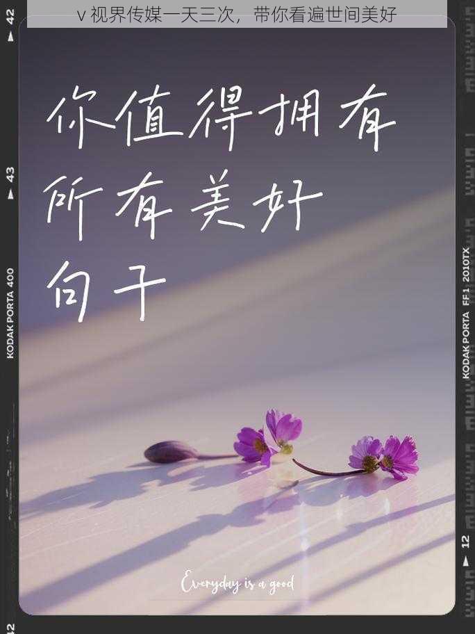 v 视界传媒一天三次,带你看遍世间美好