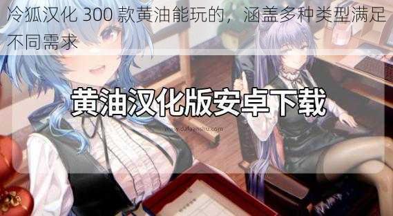 冷狐汉化 300 款黄油能玩的,涵盖多种类型满足不同需求