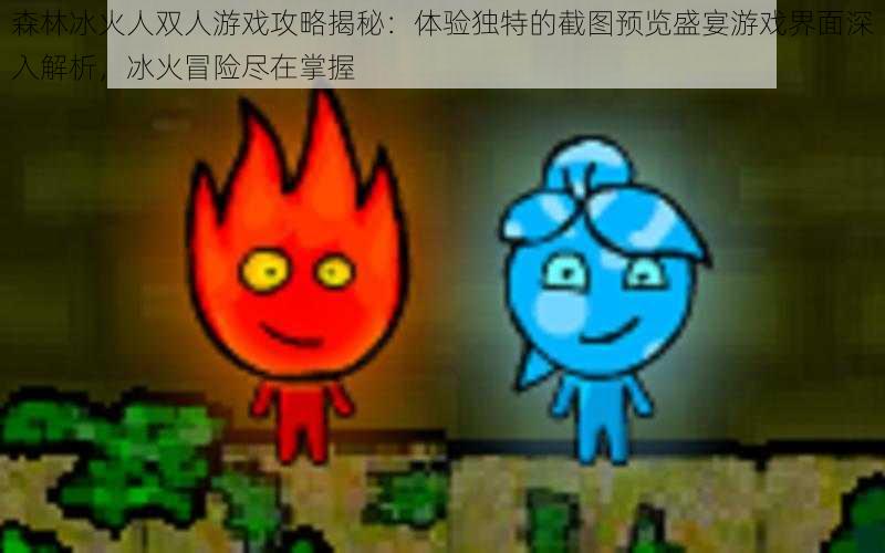 森林冰火人双人游戏攻略揭秘:体验独特的截图预览盛宴游戏界面深入解析,冰火冒险尽在掌握