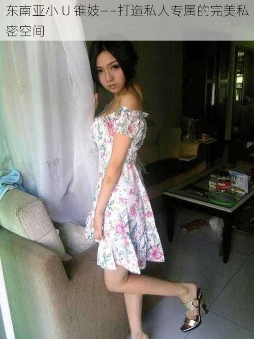 东南亚小 U 锥妓——打造私人专属的完美私密空间