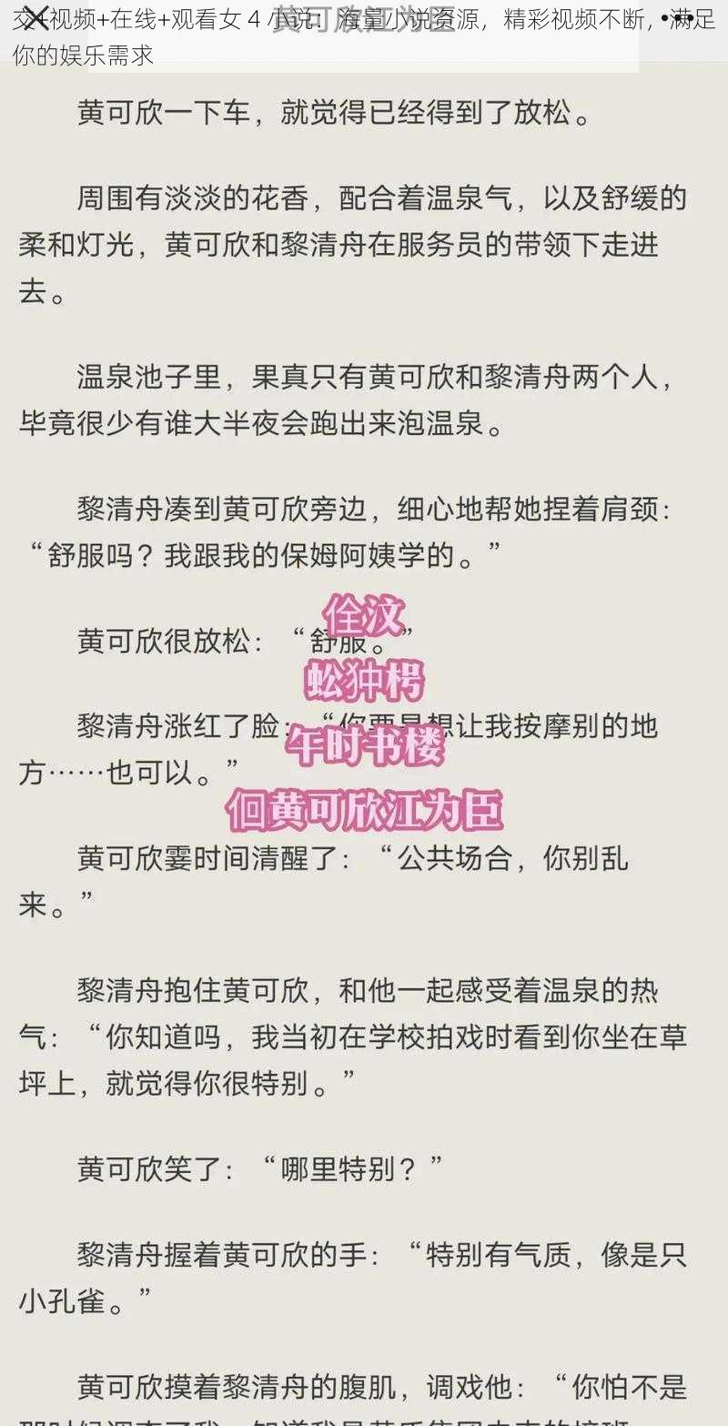 交+视频+在线+观看女 4 小说:海量小说资源,精彩视频不断,满足你的娱乐需求