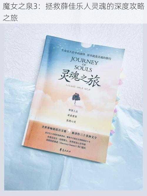 魔女之泉3:拯救薛佳乐人灵魂的深度攻略之旅