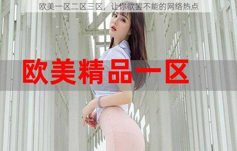 欧美一区二区三区,让你欲罢不能的网络热点