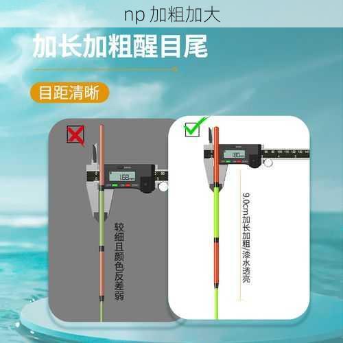 np 加粗加大