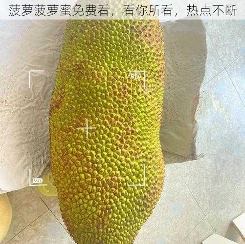 菠萝菠萝蜜免费看,看你所看,热点不断