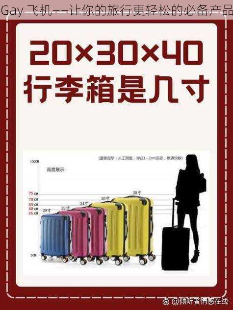 Gay 飞机——让你的旅行更轻松的必备产品
