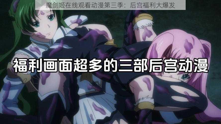 魔剑姬在线观看动漫第三季:后宫福利大爆发